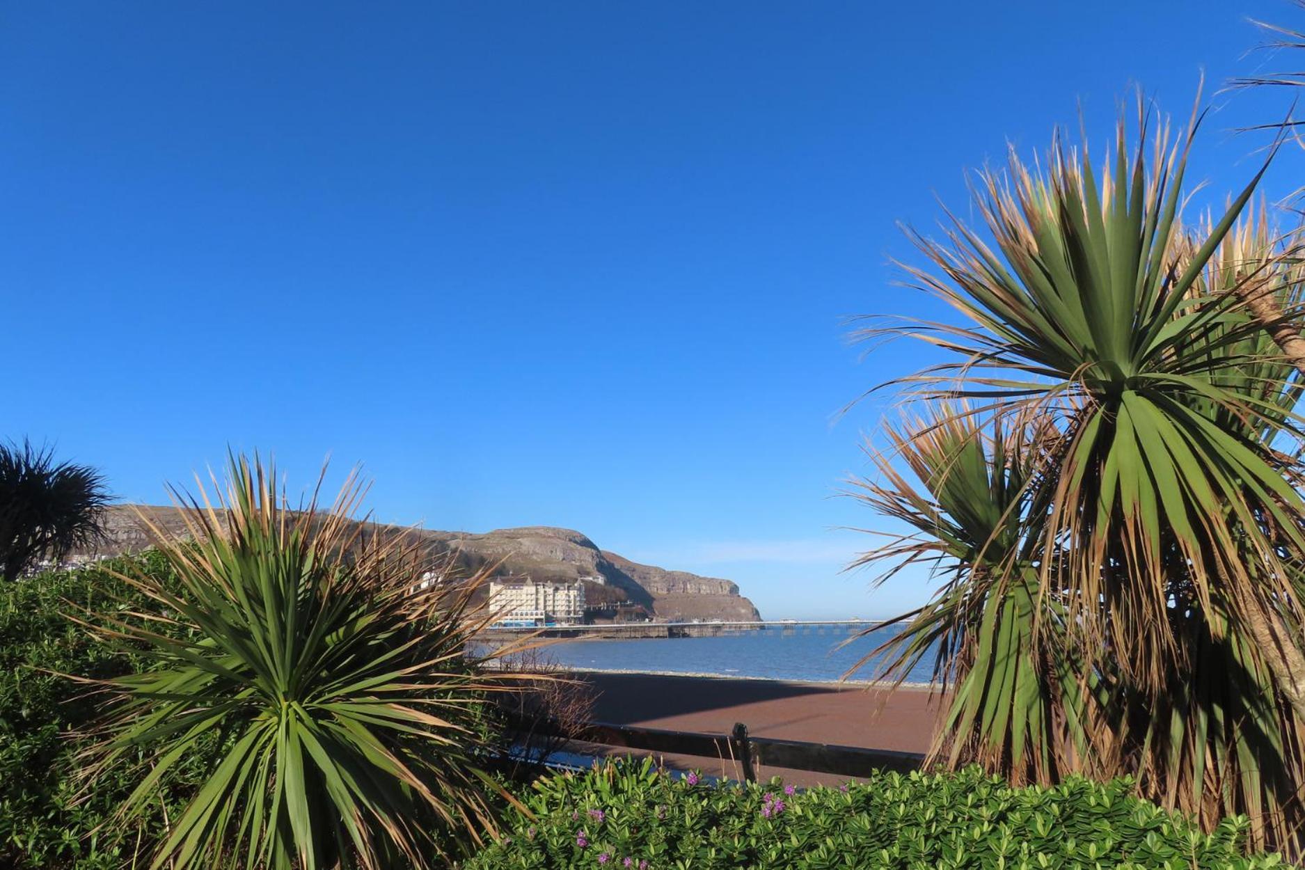 Noah'S Rest Villa Llandudno Exterior foto